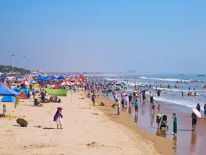 日照海浜国家森林公園