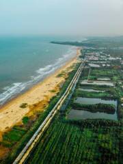 Rizhao Seaside National Forest Park