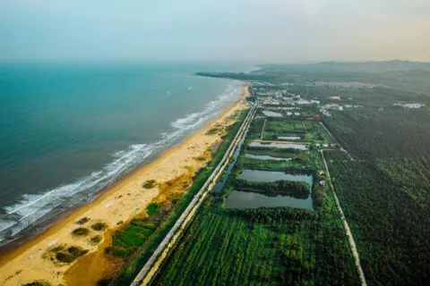 Rizhao National Coast Forest Park