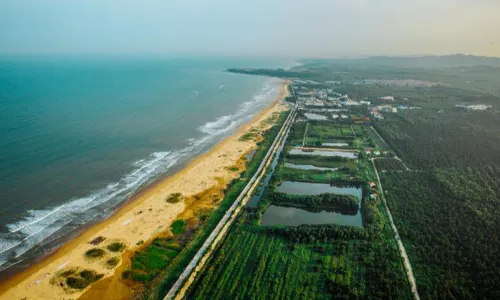 Rizhao National Coast Forest Park