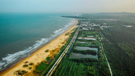 Rizhao Coastal National Forest Park