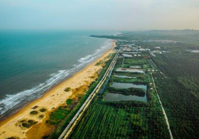 Rizhao National Forest Park