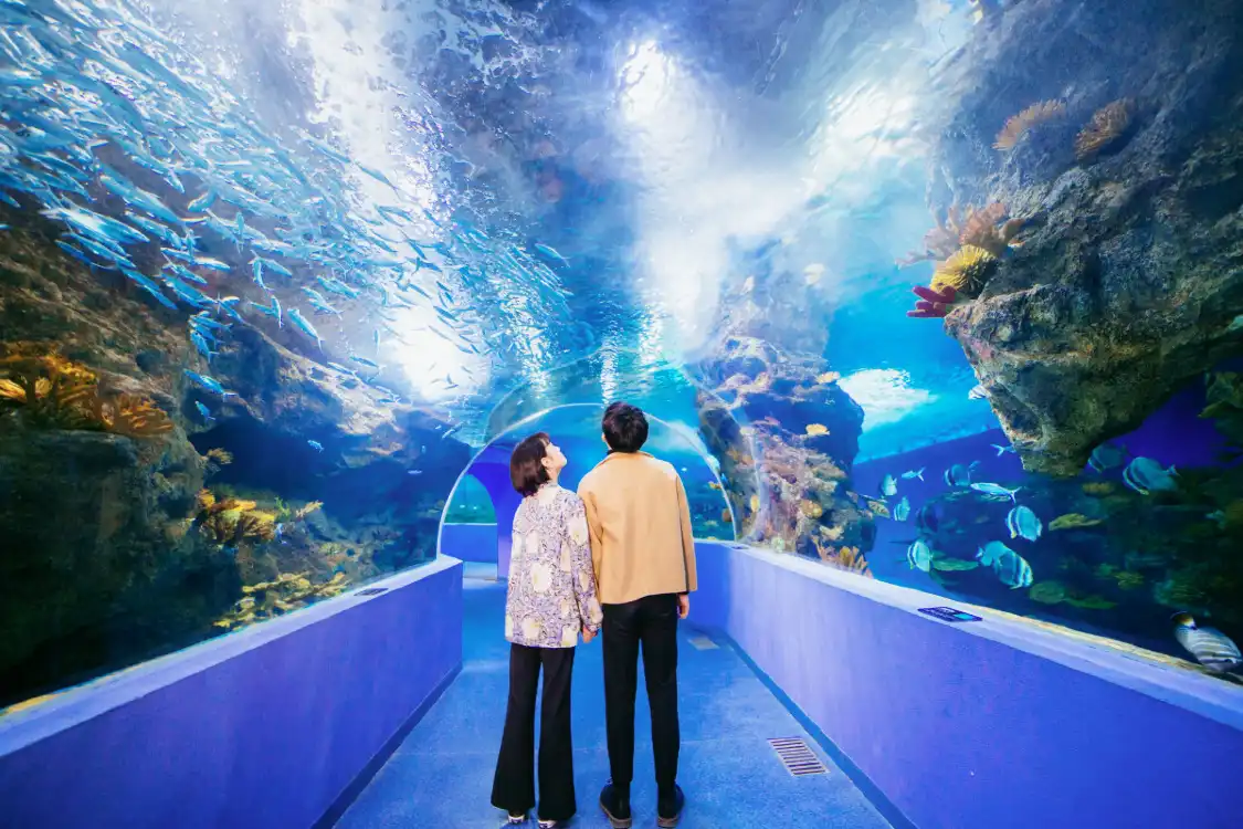 Hotels in der Nähe von Liaocheng Underwater World