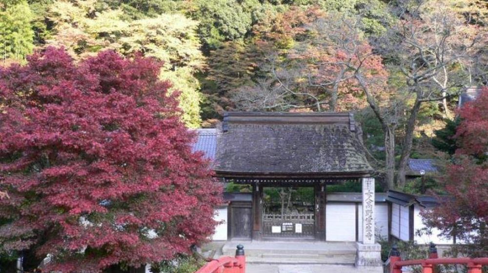 日本室生寺 長谷寺 談山神社奈良紅葉美景一日遊 乘列車前往 近鐵名古屋站出發 Trip Com 日本室生寺 長谷寺 談山神社奈良紅葉美景一日遊 乘列車前往 近鐵名古屋站出發 Trip Com
