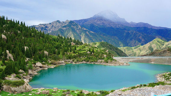 Тай Лонг-Пунг