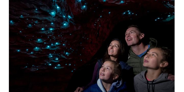 Te Anau Glowworm Caves