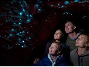 Te Anau Glowworm Caves - RealNZ