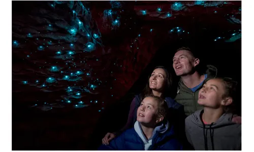 Te Anau Glowworm Caves - RealNZ