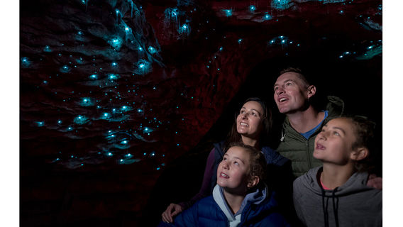 Te Anau Glowworm Caves