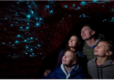 Anau Glowworm Caves