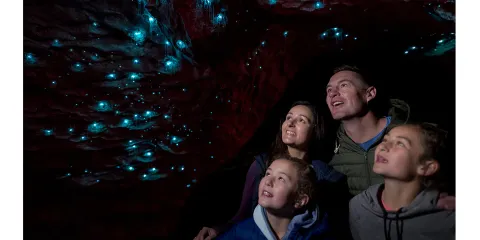 蒂阿瑙螢火蟲洞