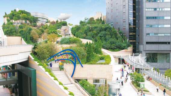 [官方票] 大阪南海電鐵 全線二日乘車券丨不限次數自由乘坐 可達關西機場/難波/和歌山/高野山