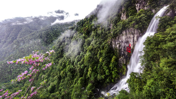 Sanbaishan Mountain Scenic Area