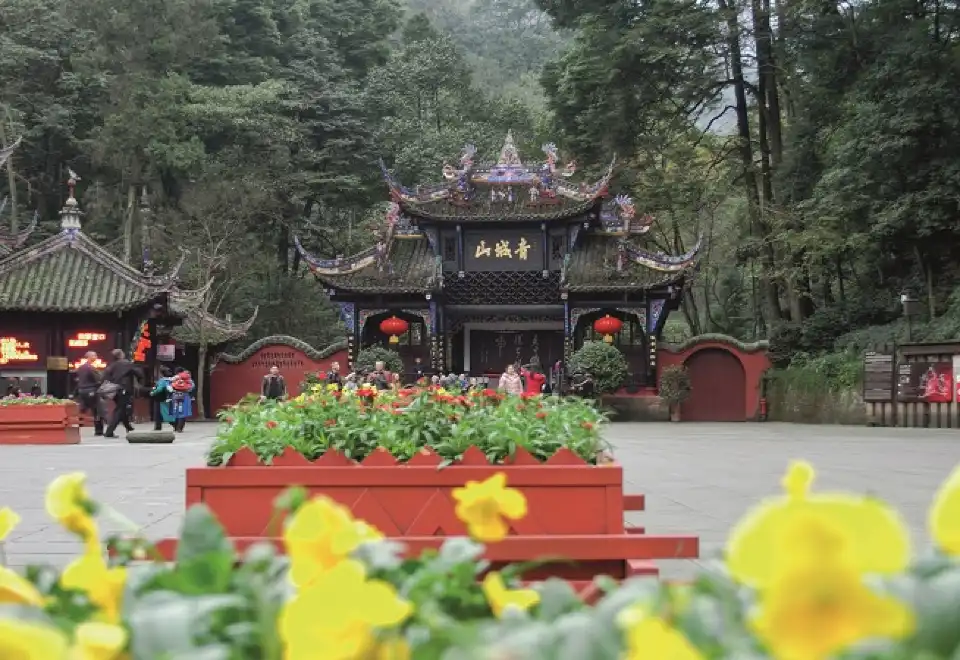 Welcome Suica&JR Line One Day Pass (Pick up at Haneda Airport)