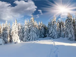 Laolike Lake