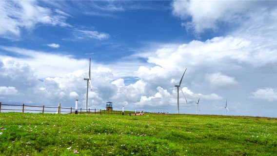 Longli Oil Painting Prairie