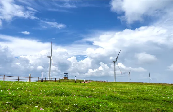 龍裡油畫大草原門票成人