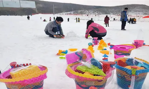 Long Mountain International Ski Field