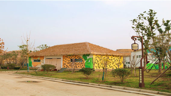 Linquan Magic Zoo