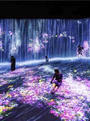 EPSON teamLab 無界美術館