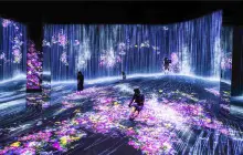 EPSON teamLab 無界美術館