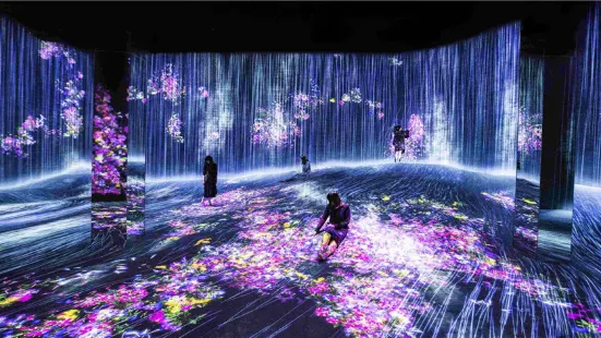 EPSON teamLab: teamLab Borderless Shanghai