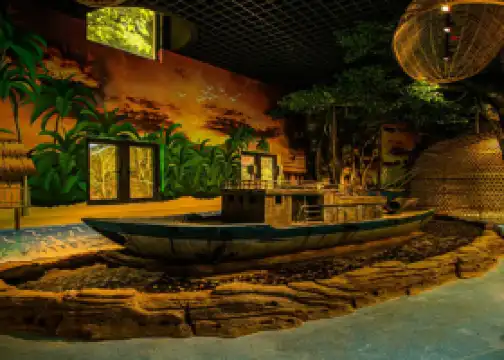 湄公河水底世界