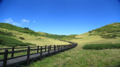 지바이산/백백산 국가삼림공원