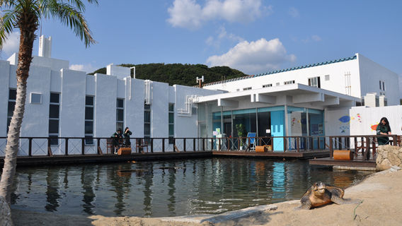 期間限定セール 和歌山串本海中公園 水族館 海中展望台 Trip Com