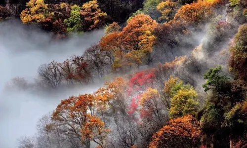 Daoxugou Scenic Area