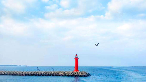 西歸浦市日遊