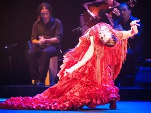 Seville Pure Flamenco Tour