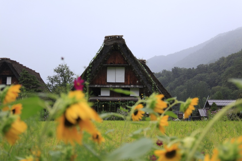 世界遺產白川鄉・古街高山一日遊