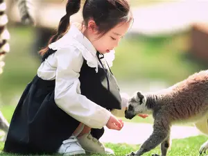 Nantong Forest Safari Park