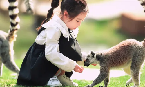Nantong Forest Safari Park