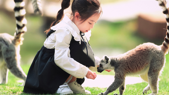 Nantong Forest Safari Park