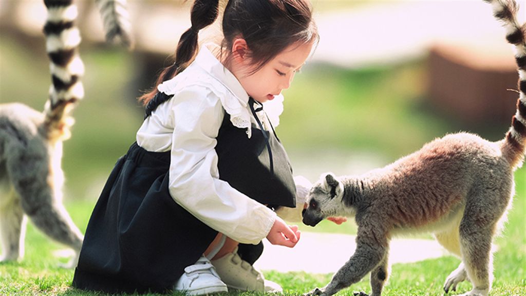 南通森林野生動物園