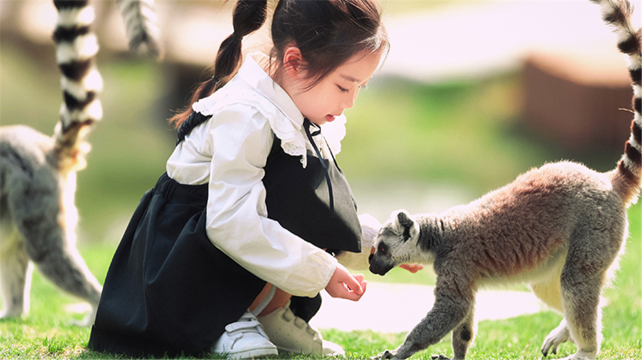 Nantong Forest Safari Park