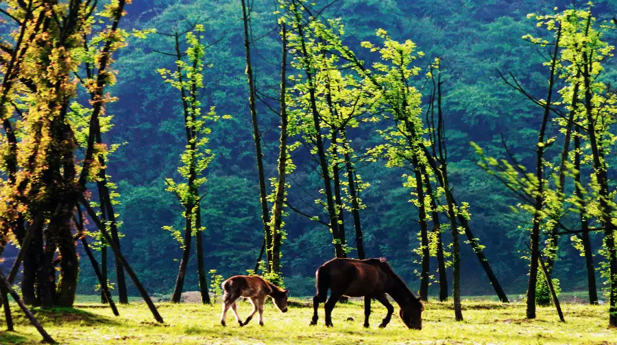 4_Nantianhu Scenic Area