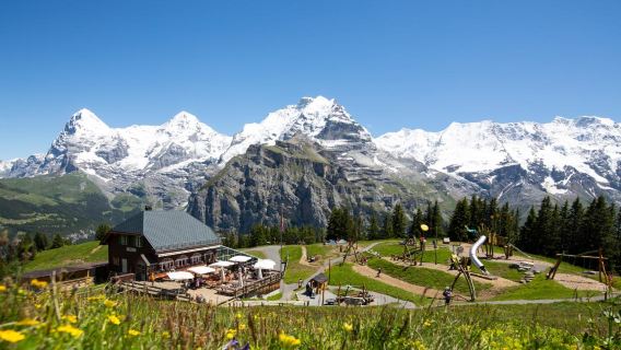 Excursión de un día al Jungfraujoch, el Observatorio de la Esfinge, el Palacio de Hielo y el Eiger desde Zúrich, Suiza