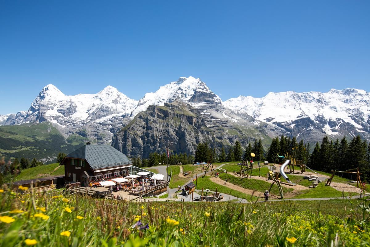 1-day tour to Jungfraujoch - Top of Europe [Departing from Zurich/Lucerne/Interlaken·Chinese/English tour]