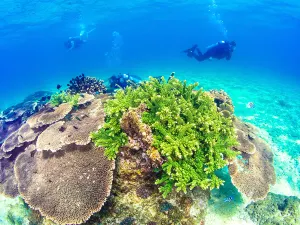 Boundary Islet Tourist Attraction of Hainan