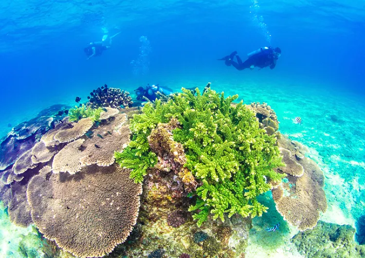 【陵水自由行】2天1夜陵水旅遊這樣玩，行程規劃懶人包全面看！