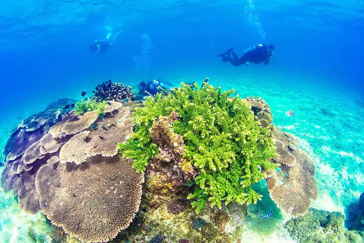 5_Boundary Island