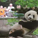 重慶動物園