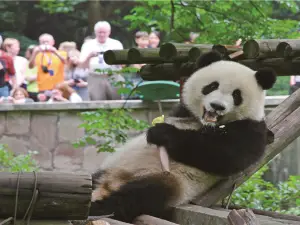 重慶動物園