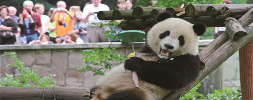 重慶動物園