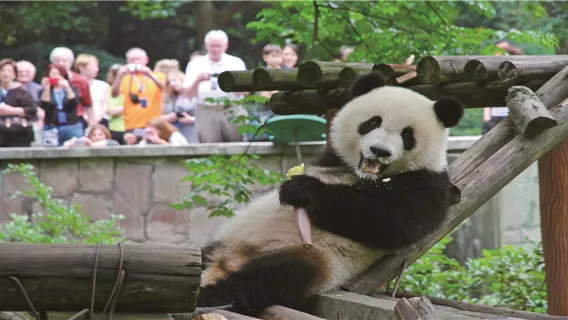 親子景點