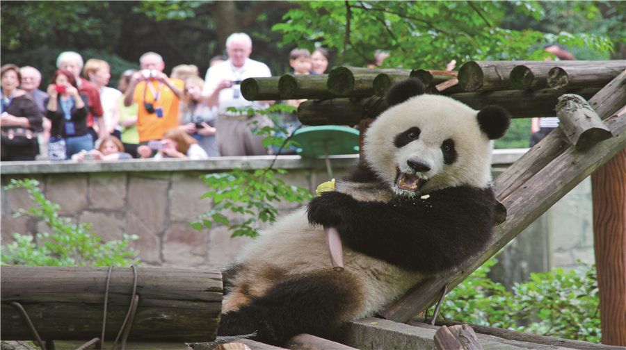 Chongqing Zoo