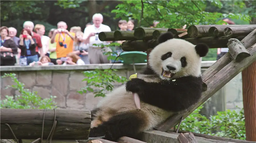 1_Chongqing Zoo